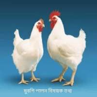 Poultry Farming-মুরগি পালন বিষয়ক তথ্য on 9Apps