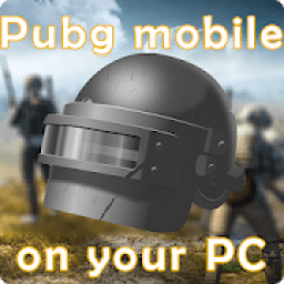 Guide to download Pubg mobile on PC आइकन