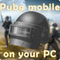 Guide to download Pubg mobile on PC