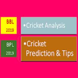 BBL 2019 · Cricket Prediction