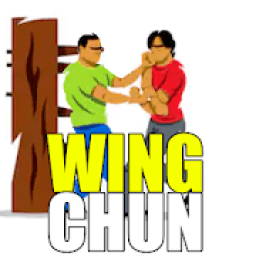 Wing Chun Training आइकन