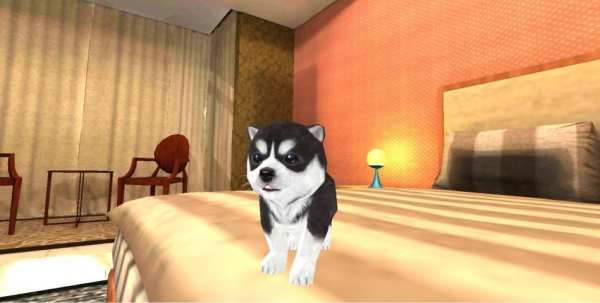 Hund Hündchen Simulator 3D स्क्रीनशॉट 2
