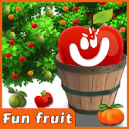 Fun Fruit Collection Game Collect different Fruits icon