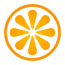 ikon VisitBasis | Retail Audit and Merchandising app