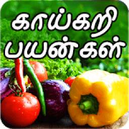 Vegetables and benefits Tamil daily, health tips