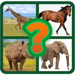 Tebak Gambar Hewan icon