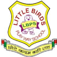 Little Bird Play Way School Dadri