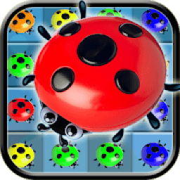 Ladybug Match3 Miracle Kids आइकन