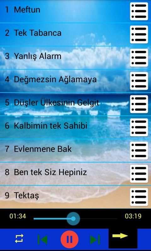İrem Derici 40 şarkı internetsiz screenshot 3