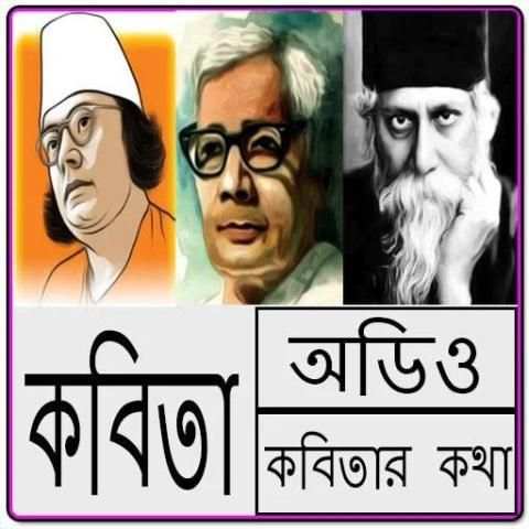 বিখ্যাত কবিতা আবৃত্তি - Bangla Kobita screenshot 3