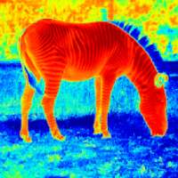 Thermal Night Vision: Best Thermal Night Vision on 9Apps