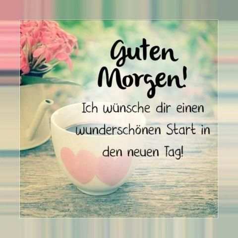 Guten Morgen Bilder Kostenlos für Whatsapp screenshot 7