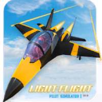 Light Flight Pilot Simulator 2019