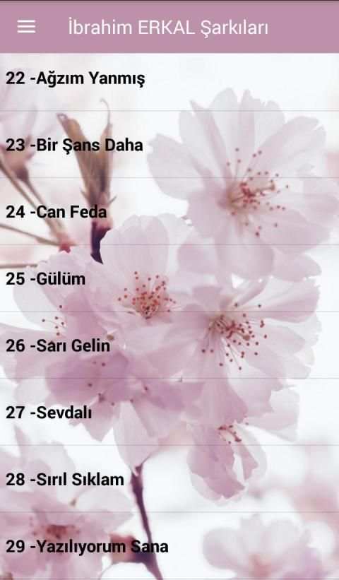 İbrahim Erkal Şarkıları İnternetsiz ( 40 Şarkı ) скриншот 5