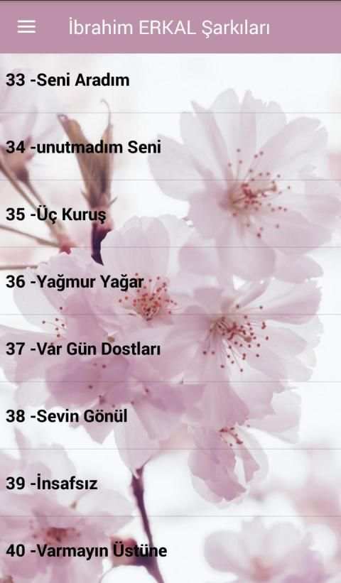 İbrahim Erkal Şarkıları İnternetsiz ( 40 Şarkı ) скриншот 4