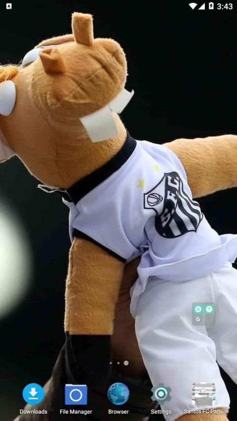 Papel de Parede do Time do Santos screenshot 5