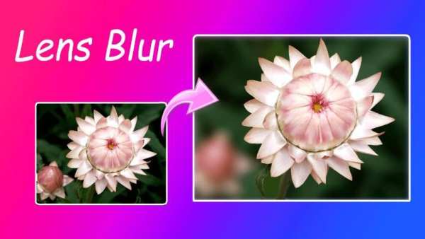 Automatic Blur Background स्क्रीनशॉट 2