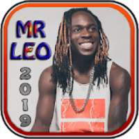 MR LEO 2019