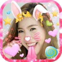 Cat face Camera Filters Photos