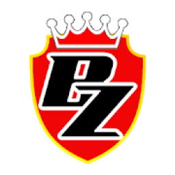 Bonanza Payment icon