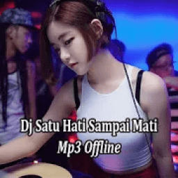 Dj Satu Hati Sampai Mati Offline icon