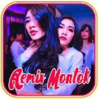 Lagu DJ Haning Remix Hits Full Bass Lengkap