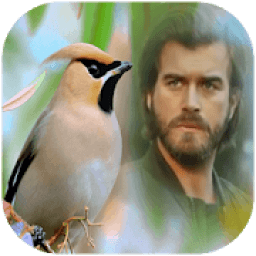 ضع صورتك مع أجمل الطيور العالم
‎ आइकन