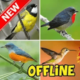 Pikat Burung Kecil Offline icon