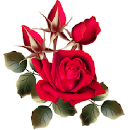 ikon Flowers Images GIF, Roses 4K