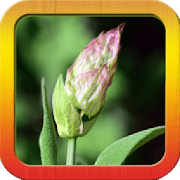 Gambar Kata Mutiara Kehidupan Bijak icon