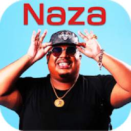 Naza 1.0