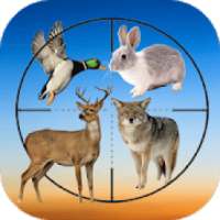 Real Hunting Calls 2019