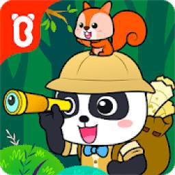Little Panda's Forest Adventure