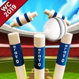 Cricket World Cup Game 2019 – Mini Ground Cricket