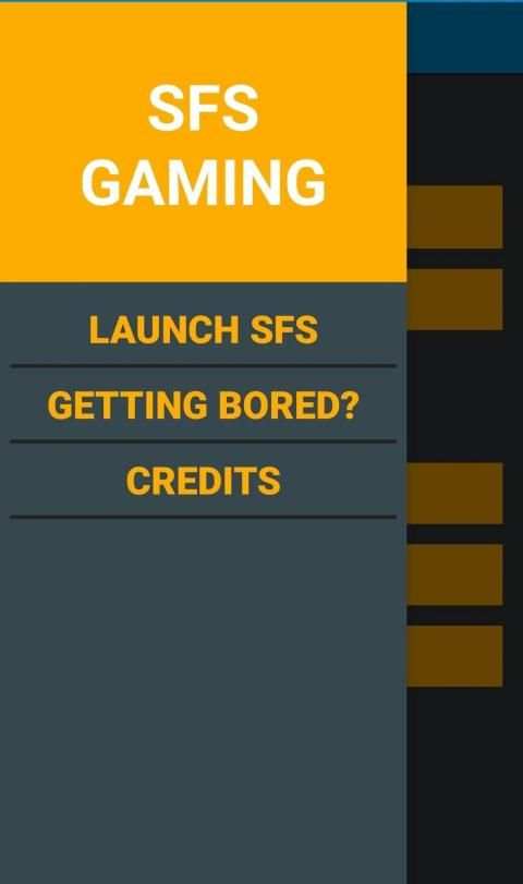 SFS GAMING BP स्क्रीनशॉट 8
