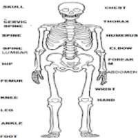 RADIOLOGY MANUAL