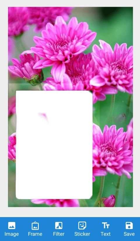 Flowers Photo Frame : Lovely Flowers Frame 2020 स्क्रीनशॉट 1