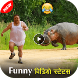 Funny Video Status 2019 आइकन