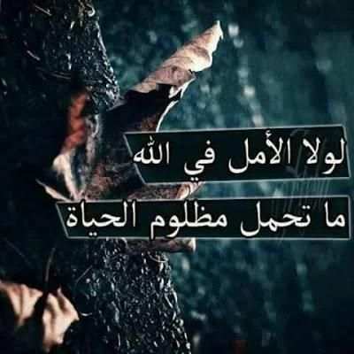 رمضان 2020 - حالات فيديو مواعظ أدعية فيديو بدون نت
‎ screenshot 1