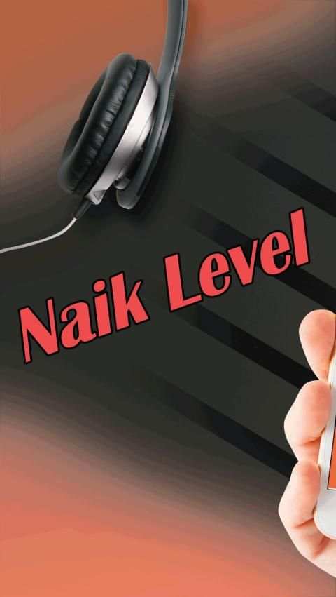 Naik Level screenshot 4