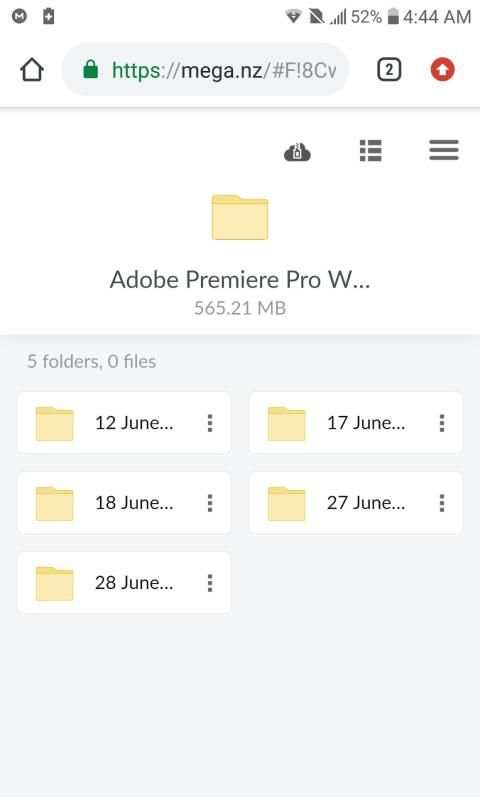 EDIUUS + ADOB PR WEDDING MIXING DATA FREE DOWNLOAD स्क्रीनशॉट 2