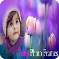 Tulip Photo Frames HD New