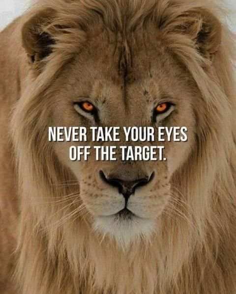 Success Quotes - Status Messages स्क्रीनशॉट 1