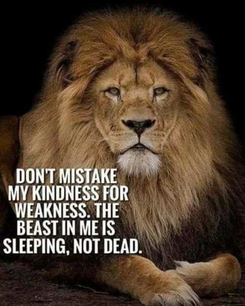 Success Quotes - Status Messages स्क्रीनशॉट 2