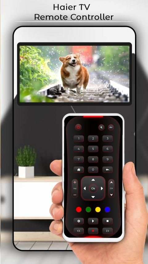 Haier TV Remote Controller स्क्रीनशॉट 2