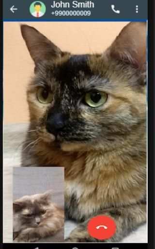 CHATTA screenshot 2
