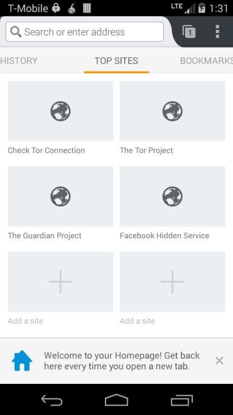 Orfox screenshot 2