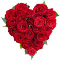 ملصقات باقات من الزهور للواتساب for WhatsApp
‎