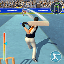 Real Top Cricket World Champions 2019 icon