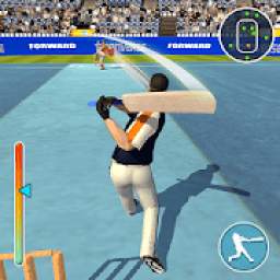 Real Top Cricket World Champions 2019 1.0